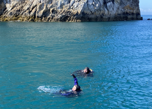 Josie in water