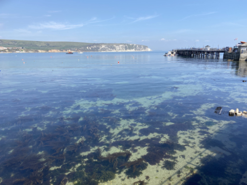 Swanage 2